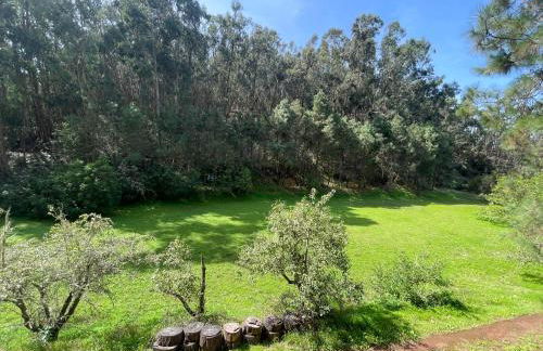 Casa Rural en medio del bosque, El Lance - Foto 14