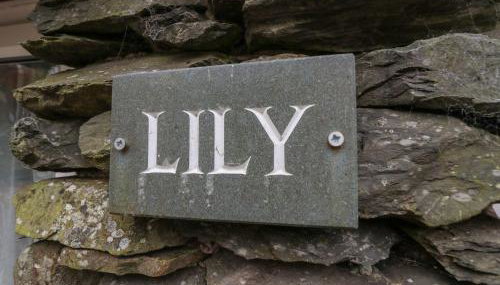 Low Jock Scar - Photo 5