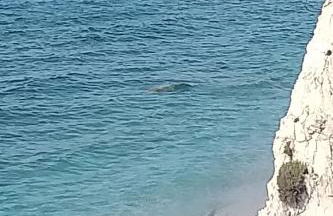 Casa Pineta - Foto 32