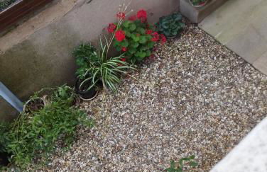 Doubs séjour Studio4 - Photo 13