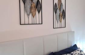 Mariposa Azul - Foto 18