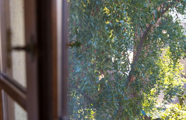 Farmhouse in Tuscany With Pool & Near Montecastello - Foto 14