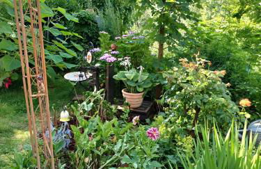 Haus Gertrud - Photo 17