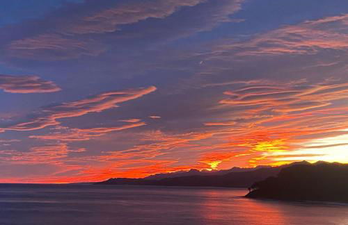 Olas y flores silvestres 2 - Foto 27