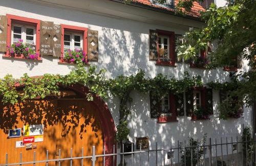 Phönix aus der Asche - Foto 24