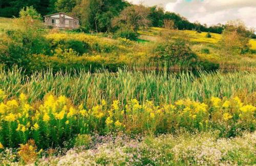 Hamden Hill House - Foto 17