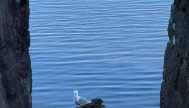 Ático Pequeño Paraíso Combarro - Photo 3