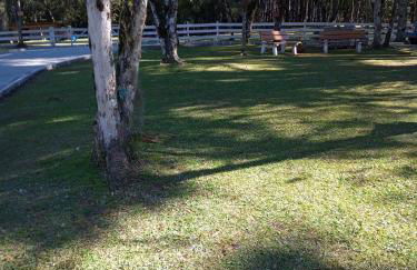 Magia das Hortênsias - Natureza, Hidromassagem e Muita Tranquilidade! - Foto 33