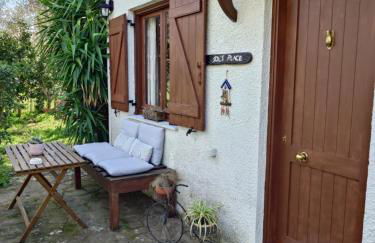 Sol's Place - Photo 14