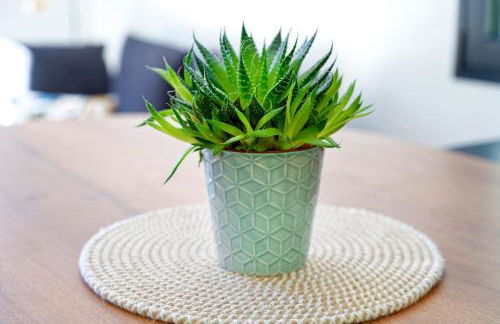 Maison Aranea - Foto 5