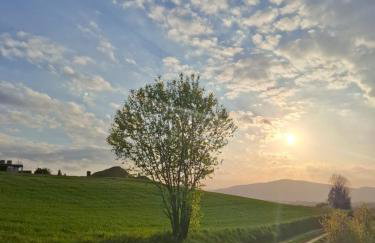 Górska Otulina - Foto 31