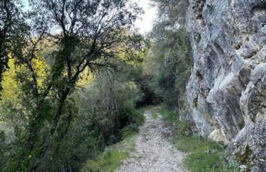 Peaceful Vacation Villa - Foto 33