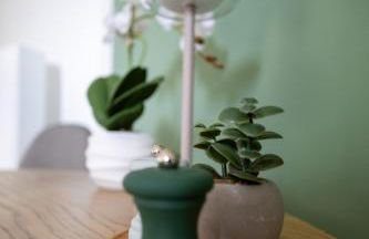 WOHLFÜHL-Apartment Waldschimmer, Extra Komfort für Business & Urlaub - Foto 8