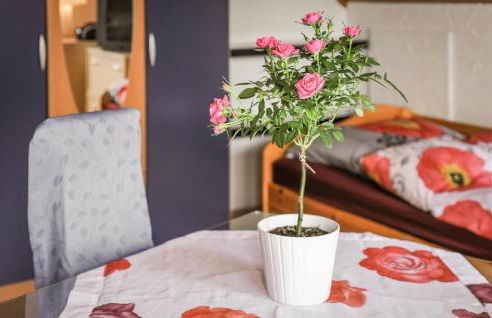 Ferienwohnung Klenk - Foto 29