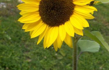 Villa Otto - Foto 18