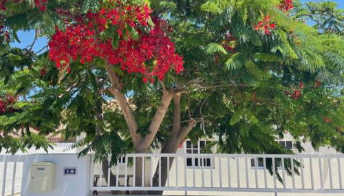 Casa Enamorado - Photo 2