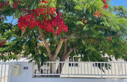 Casa Enamorado - Photo 2