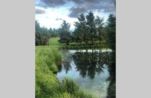 Phil's Cottage Sleeps 2 one dog by prior permission - Photo 10