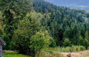 Przysiółek Flądrówka - Dom na odludziu z widokiem na Gorce i Tatry - Foto 4