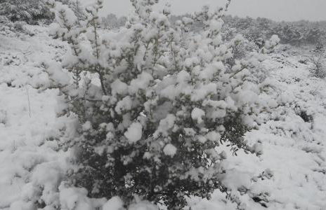 Casa Carabias Sigüenza - Foto 30