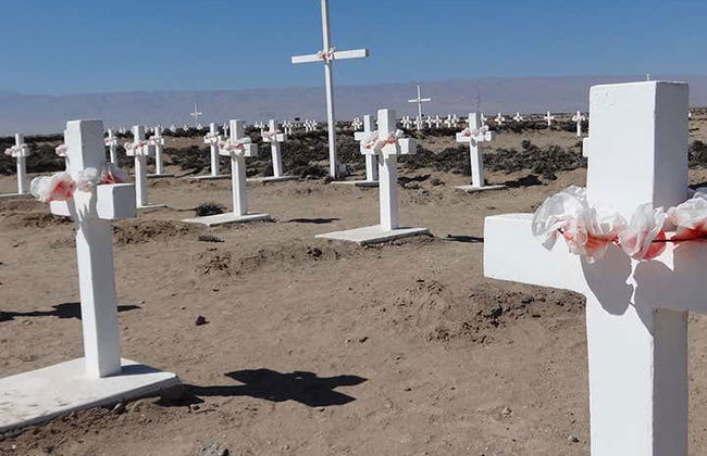 Tour di Tacna e del Campo de la Alianza - Foto 2