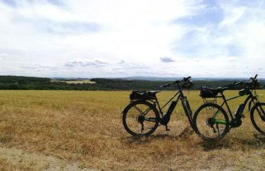 Ferienhaus Leo - Foto 31