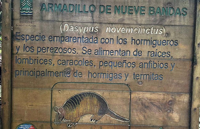 Barbas Bremen Nature Reserve Tour - Photo 5