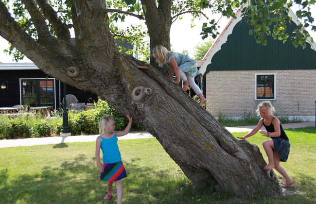 Chalet in Wiringherlant With Garden Terrace - Foto 29