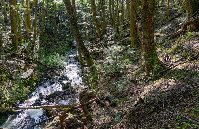 Cabañas Del Martial - Foto 33