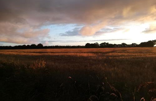 La petite Hugrie - Photo 37