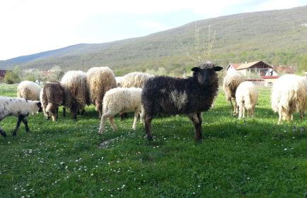 Gacka Valley - Foto 55