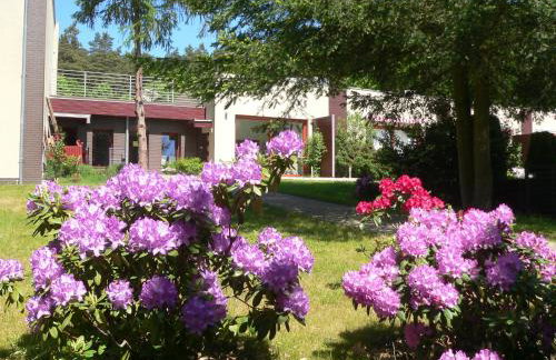 Leśna Wisełka - Foto 22