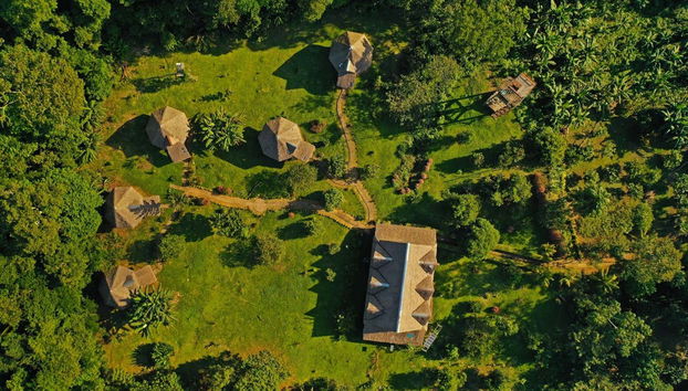 Tambopata National Reserve 5 Day Tour - Foto 3