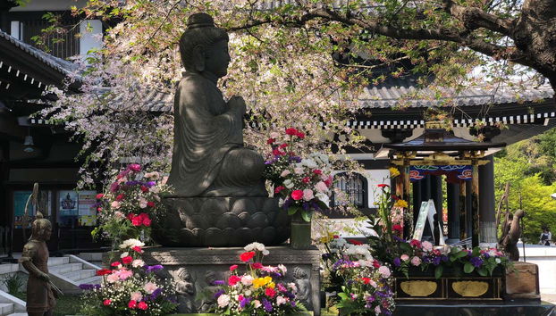 Tour in Tokyo - Foto 3