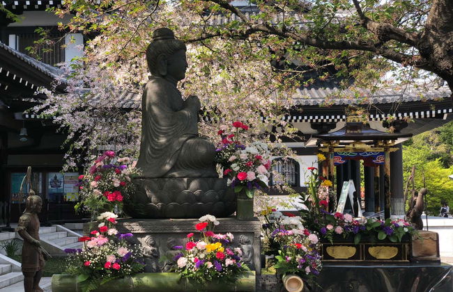 Tour in Tokyo - Photo 3