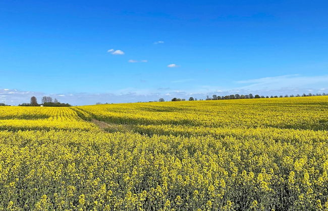 5 Person Holiday Home in Loderup-by Traum - Foto 37