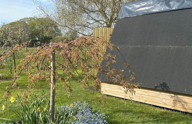 Abbey Green Farm B&b, Camping & Touring Park - Foto 63