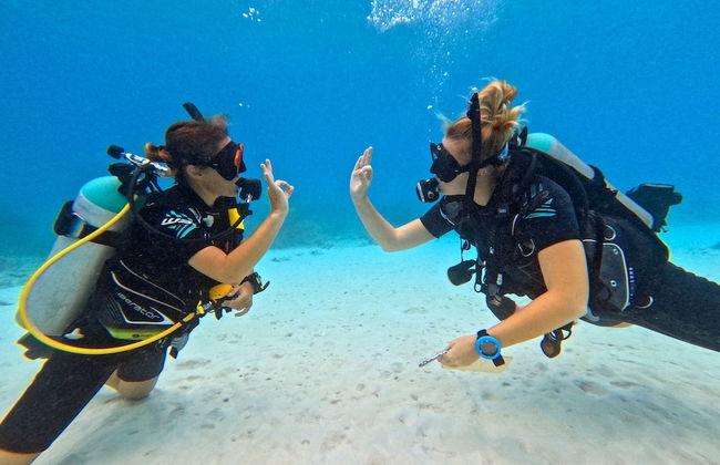 Bloozz resort Bonaire - Foto 76