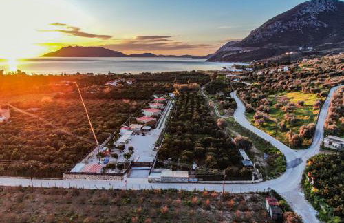 Desa Green Homes - Photo 11