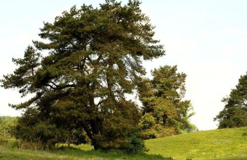 Reihenhaus am Gardersee - Foto 73
