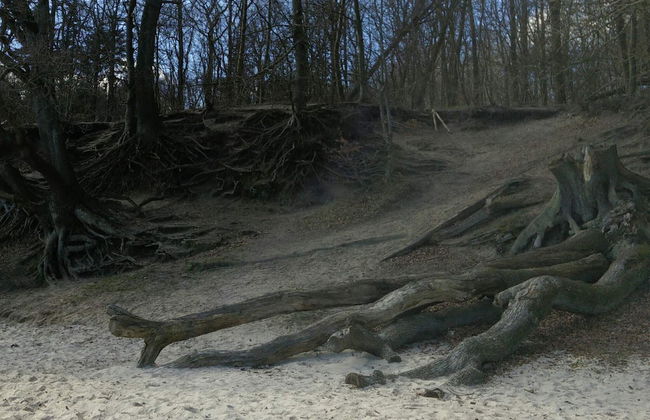 8 Person Holiday Home in Aabenraa - Foto 18