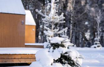 Gulbity Camp - Foto 74