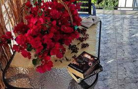 Panorama Apartments - Foto 2