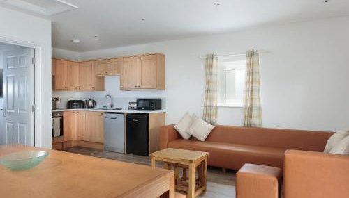 Bewick Swan - Ukc2111 - Foto 4