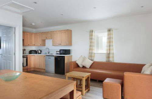 Bewick Swan - Ukc2111 - Photo 4