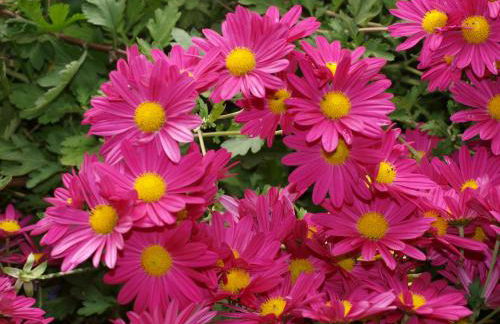 Ramajal Rural - Foto 60