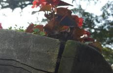 Bienenwabe Suítes Super Luxo - Foto 16