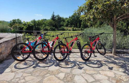 Holiday home Casa dei nonni with bicycles included - Foto 43