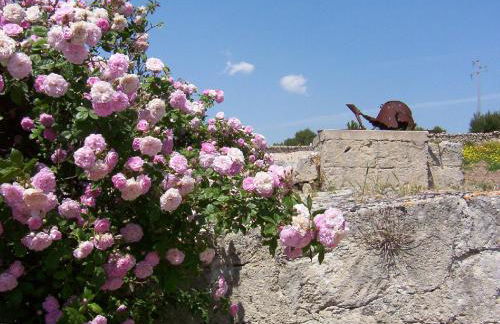 Masseria La Gravina - Foto 65
