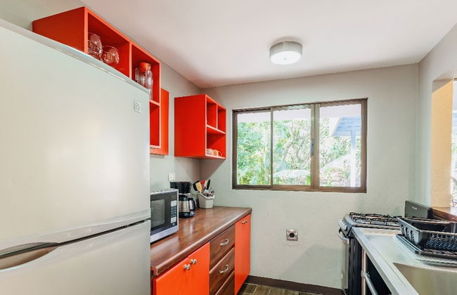 Relaxing Sound of River Birds Squirrels - Foto 13